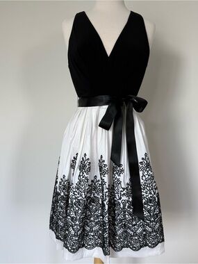 LF Elegant Black & White Lace Trim V-Neck Fit-and-Flare Dress // Size 10